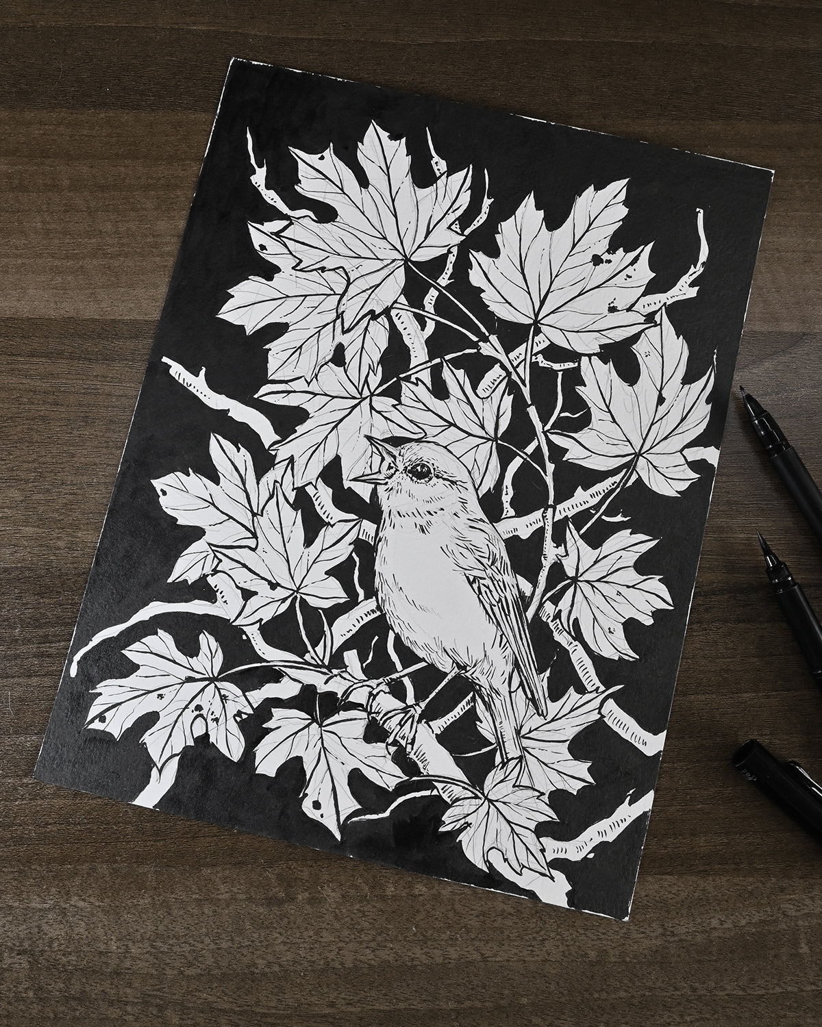 Black and white ink illustration of a bird among leaves on a dark surface