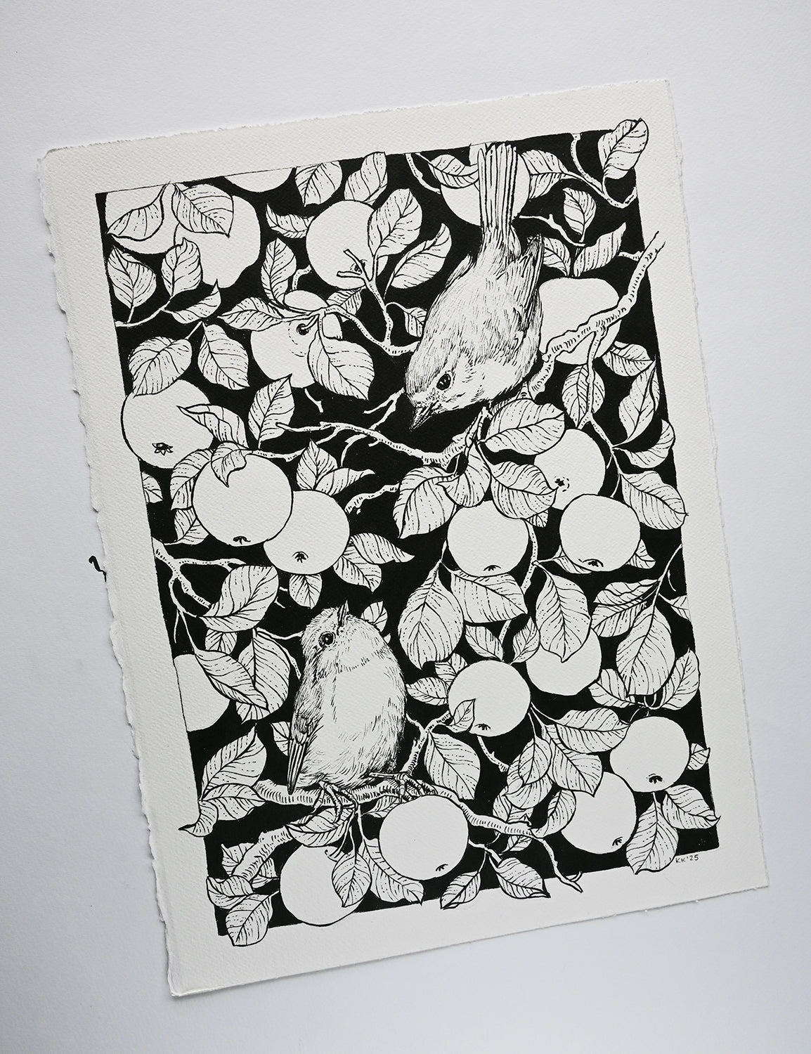 Black and white illustration of birds and apples on a white background