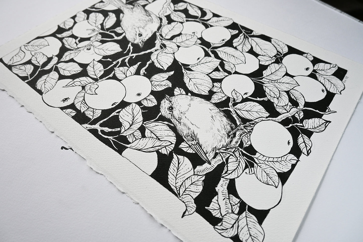 Black and white illustration of birds and fruit on a textured paper background