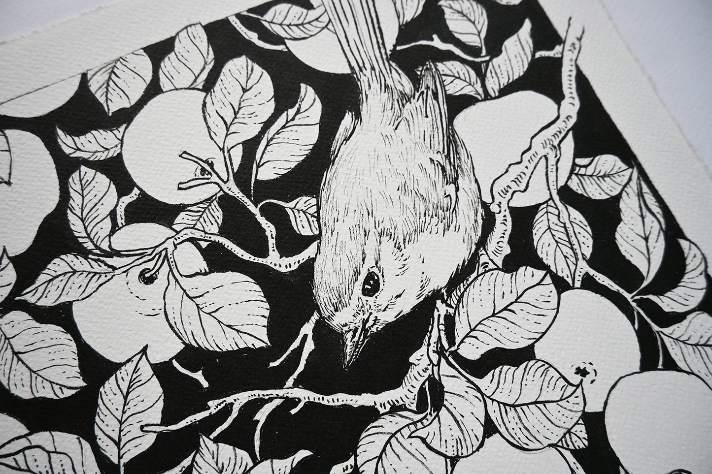 Black and white illustration of a bird on a branch with leaves
