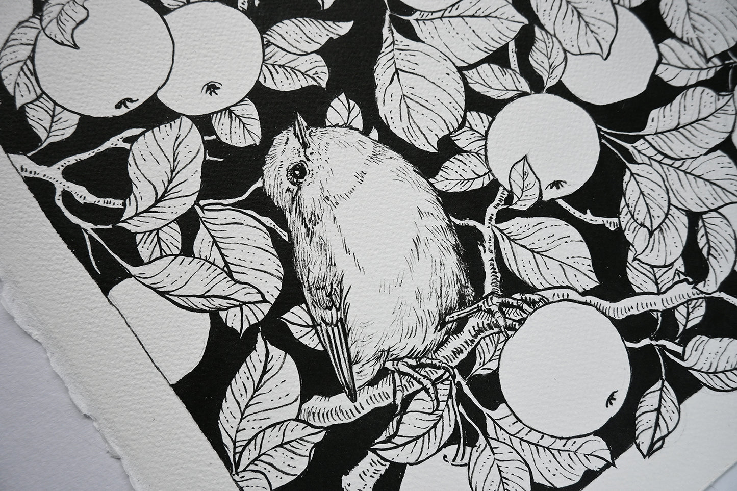 Black and white illustration of a bird on a branch with leaves and apples.