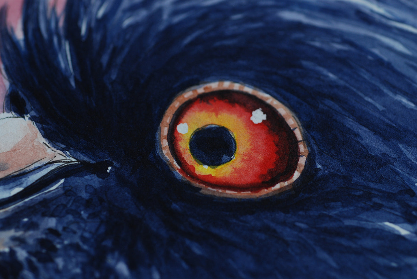 Close-up of a bird's eye with detailed feathers