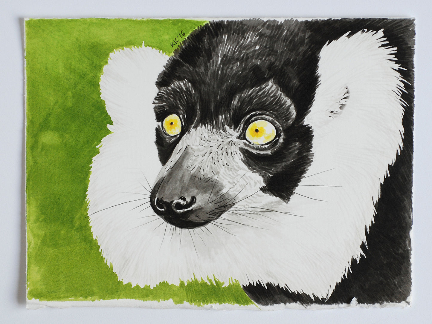 Artistic illustration of a lemur on a green background