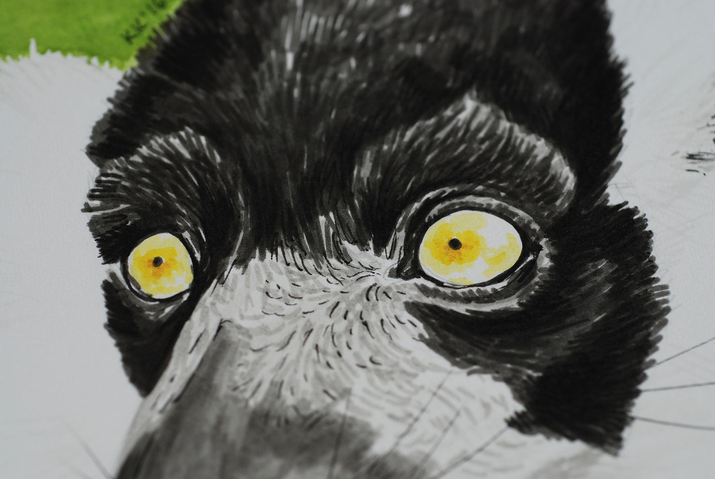 Close-up of a lemur's face with yellow eyes and black and white fur.