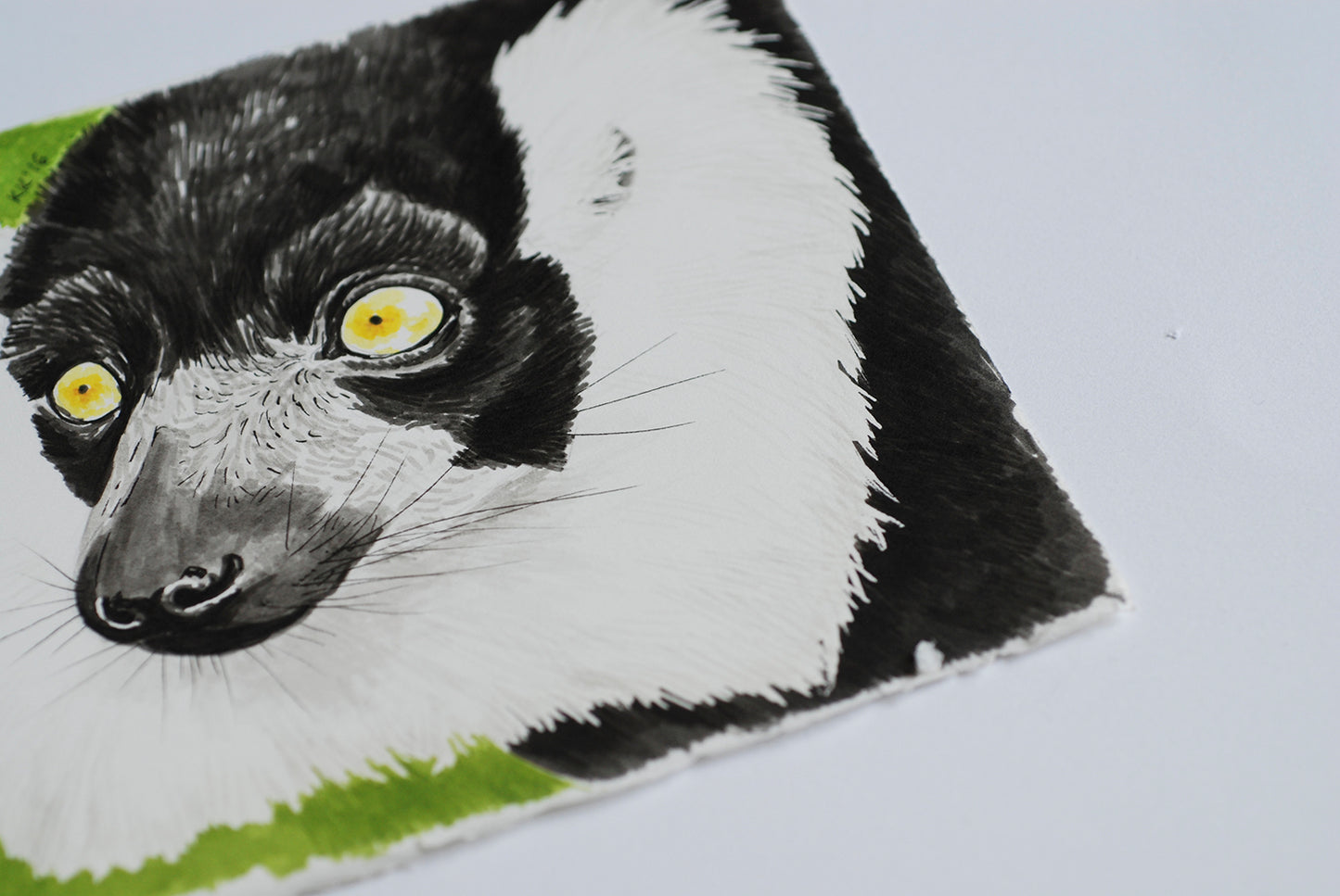 Close-up of a lemur illustration on a textured surface with a light gray background