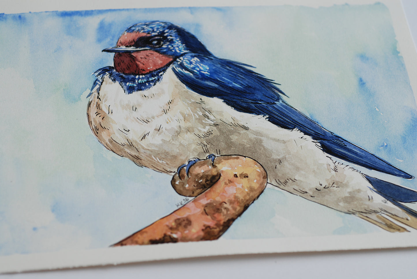 Watercolor painting of a swallow perched on a branch with a blue and white background.