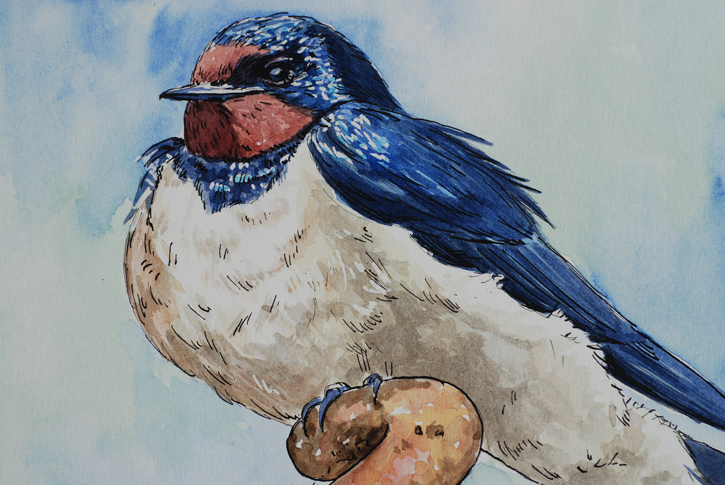 Artistic depiction of a bird with blue and red features on a light blue background