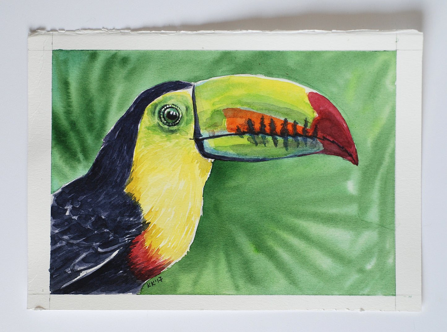 Colorful toucan illustration on a green leaf background