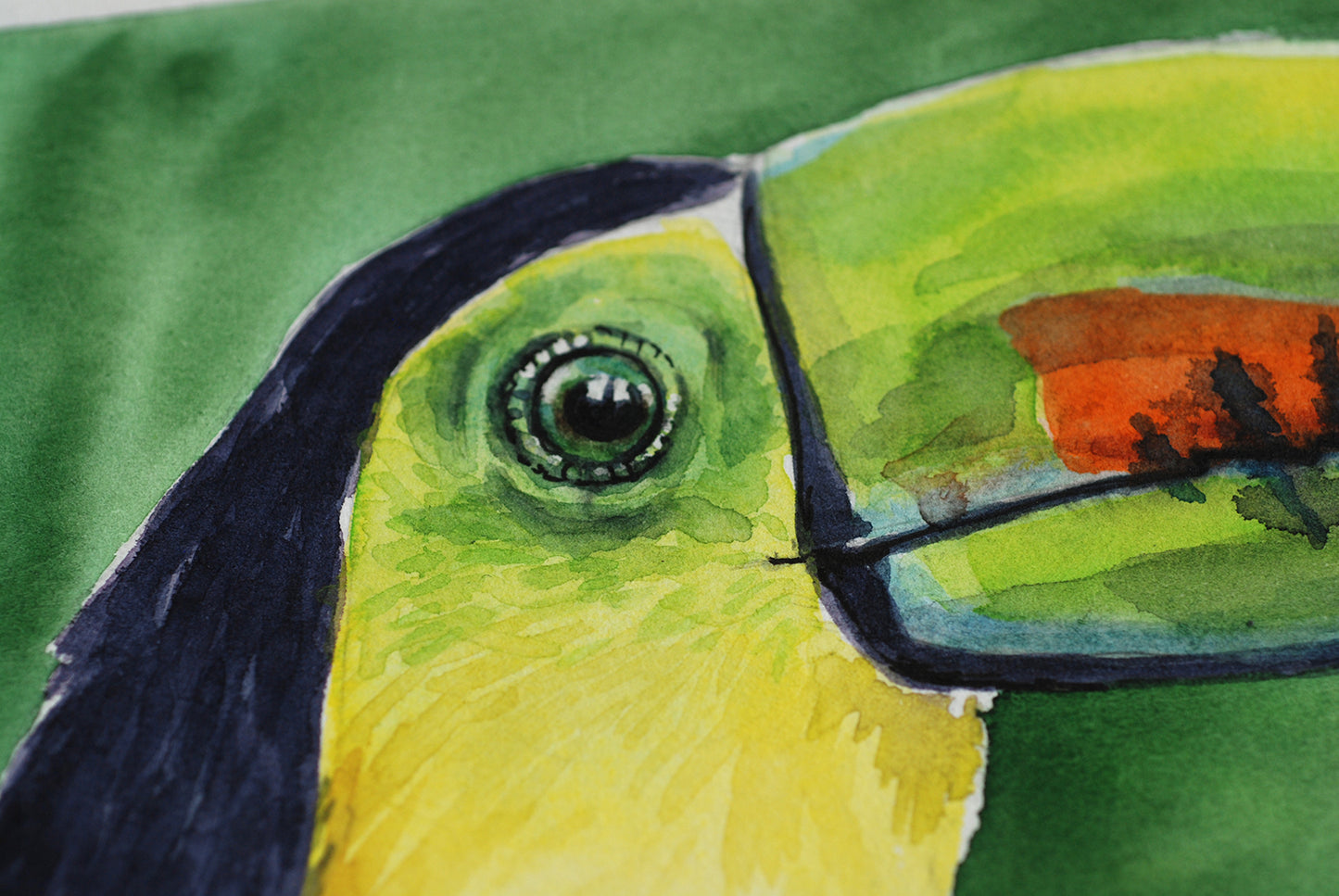 Close-up of a watercolor painting of a toucan's face on a green background