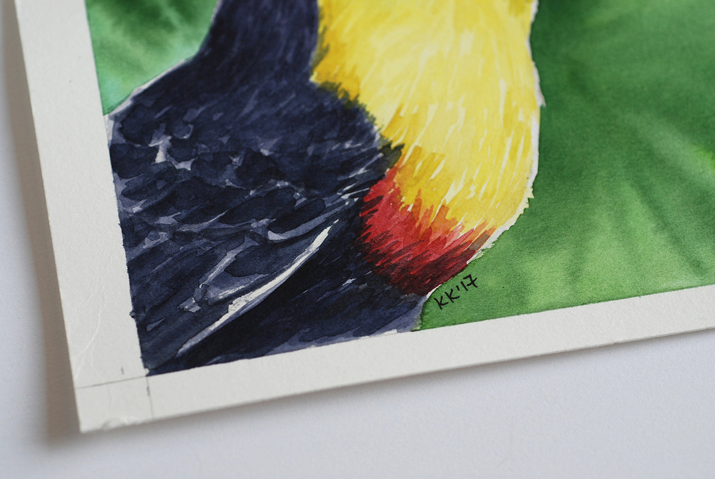 Close-up of a watercolor painting of a toucan on a green background