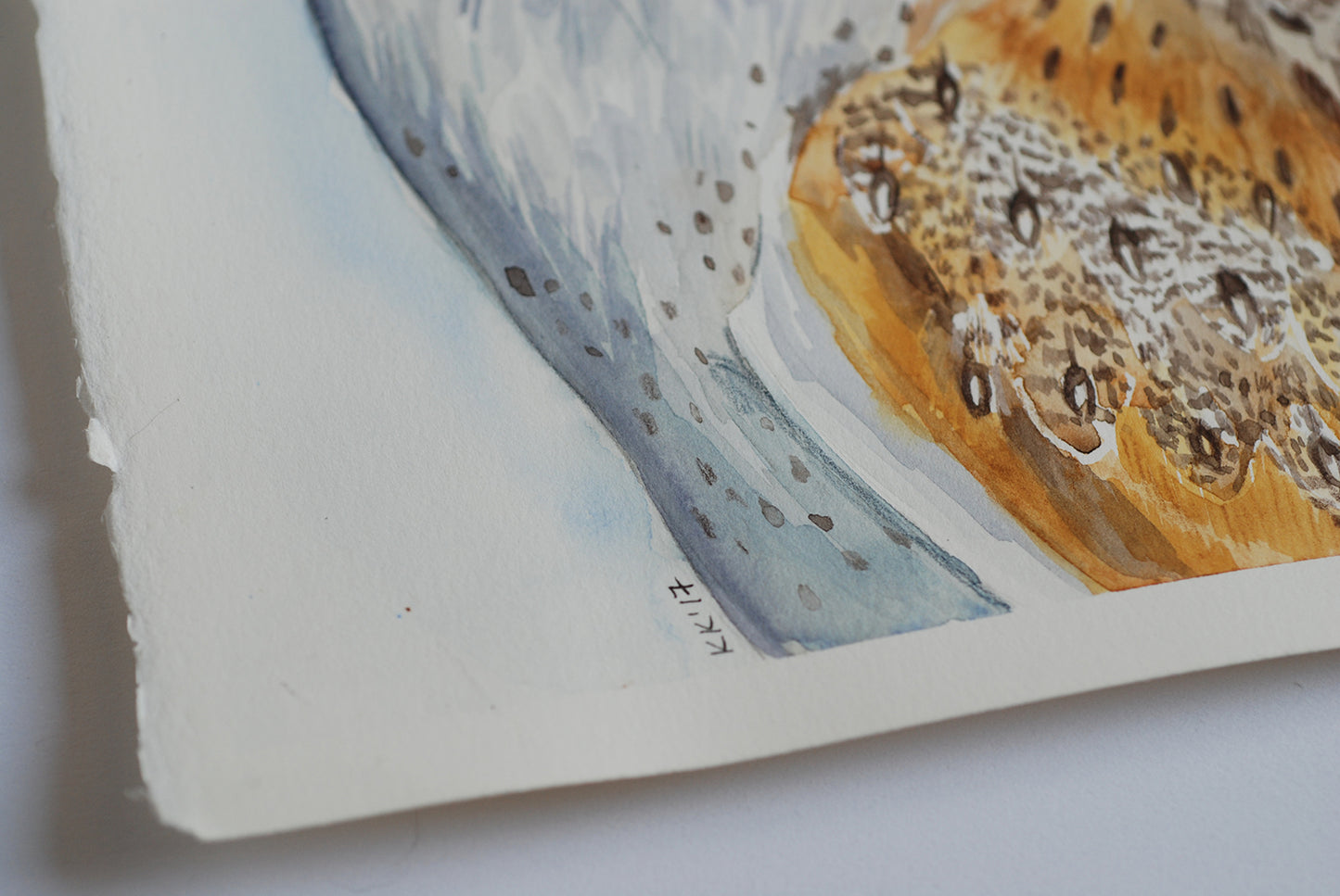 Close-up of a watercolor painting of an owl on a white surface