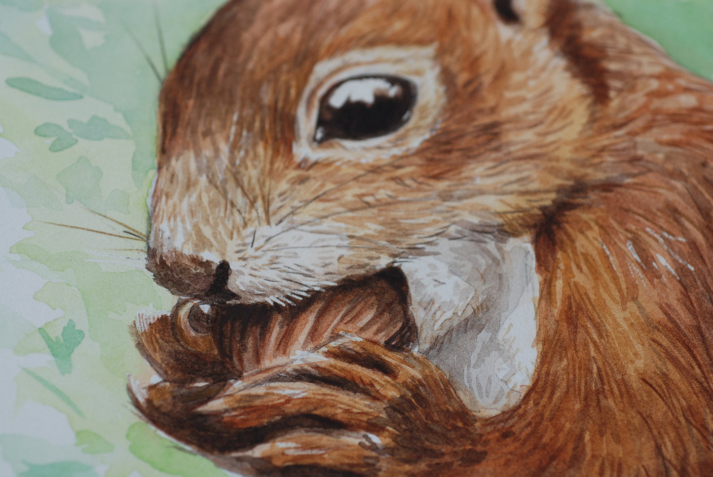 Illustration of a squirrel holding a nut against a green background