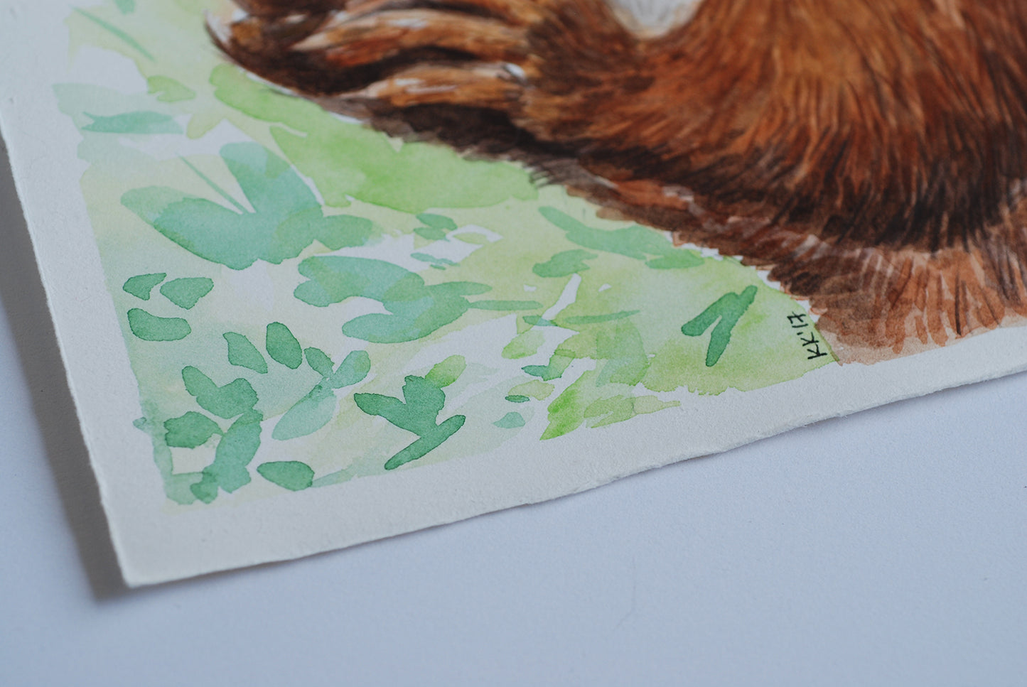 Close-up of a corner of a watercolor painting of a squirrel and green foliage on a white background.
