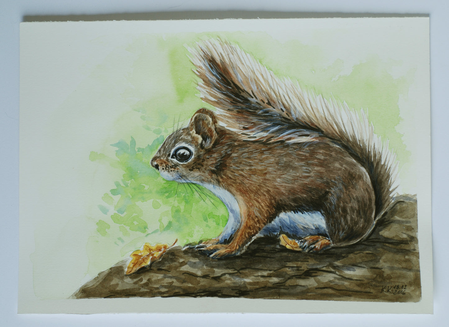 Watercolor painting of a squirrel on a branch with a green background