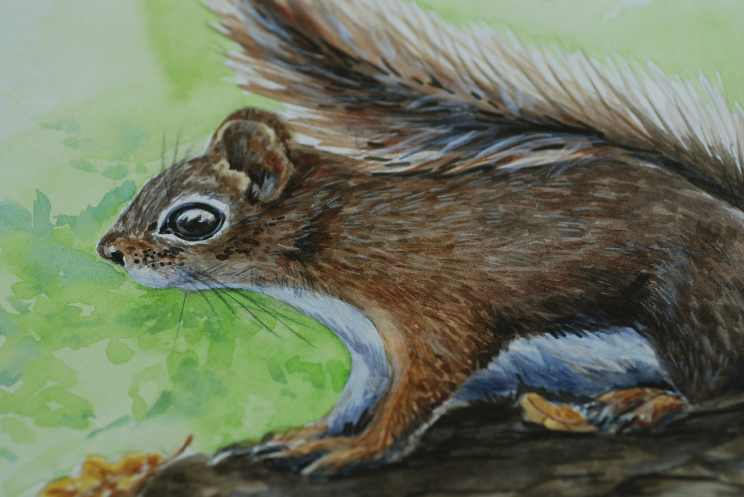 Illustration of a squirrel on a branch with a green background