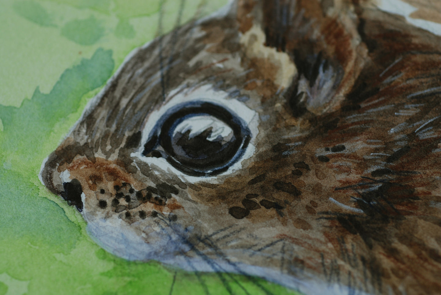 Close-up of a squirrel's face with a green leaf background