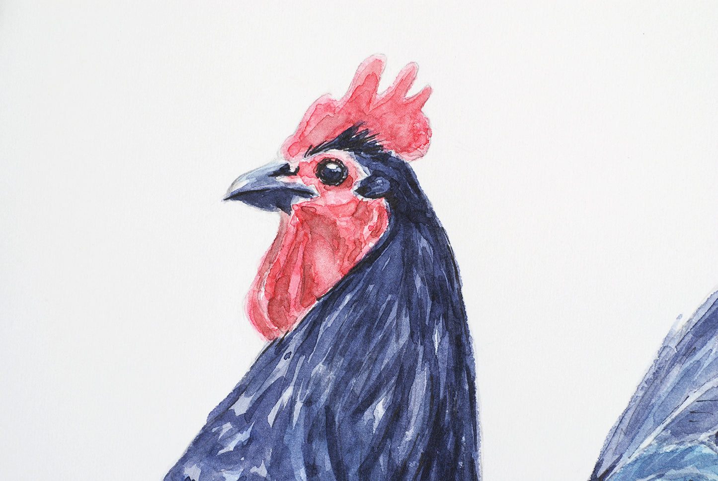 Artistic illustration of a rooster with a red comb on a white background