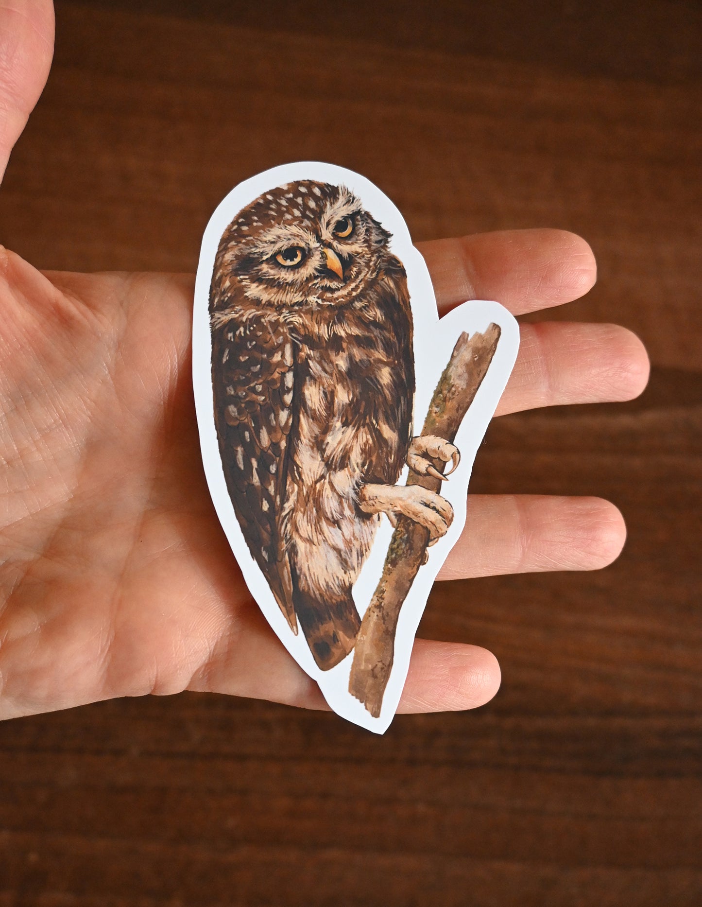 Sticker of an owl held between fingers on a wooden surface