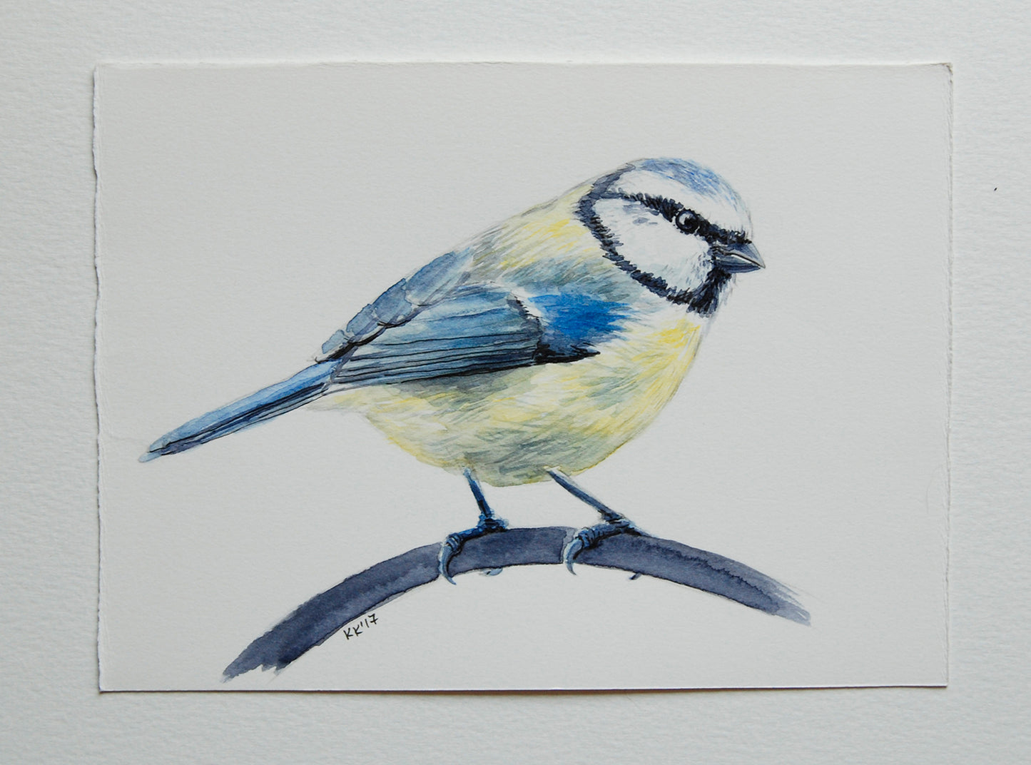 Artistic depiction of a blue tit on a branch with a white background