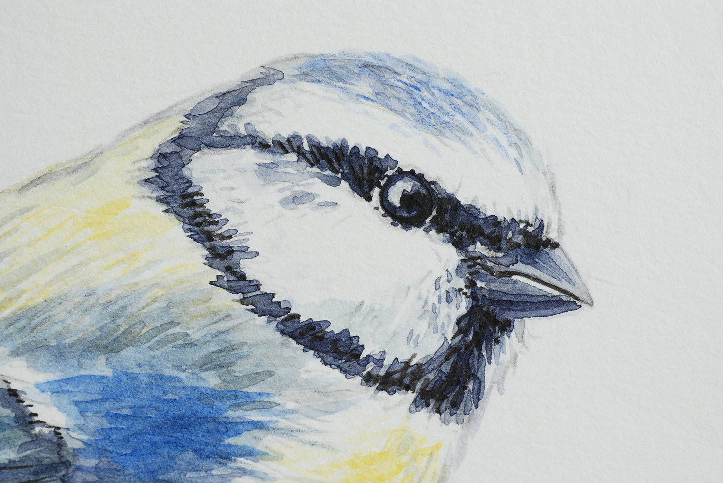 Close-up of a watercolor painting of a bird's head with blue, yellow, and black colors on a white background.