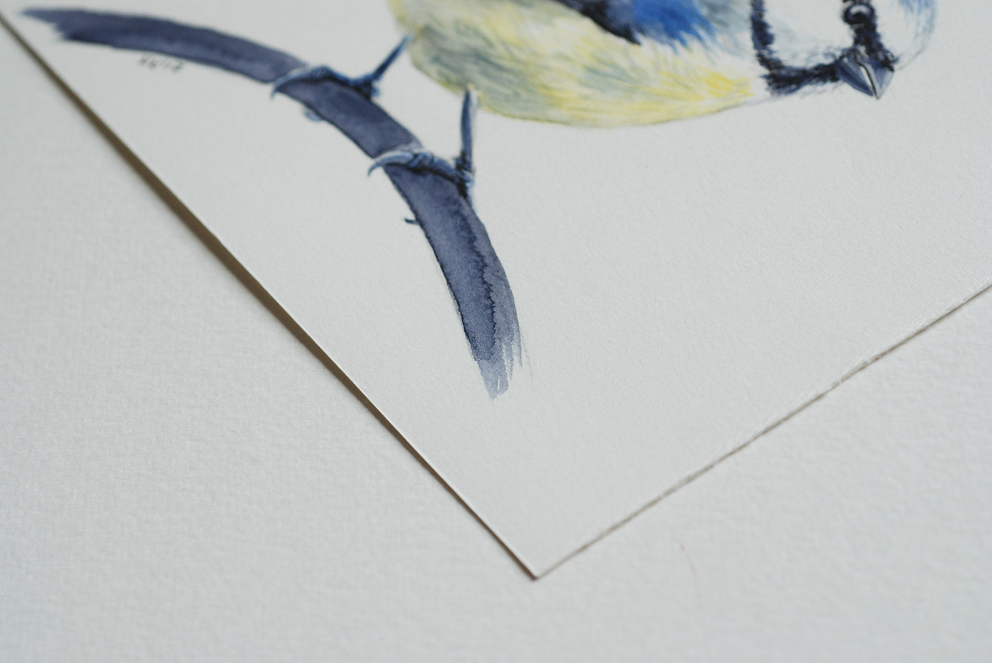 Close-up of a watercolor painting of a bird on a textured white background