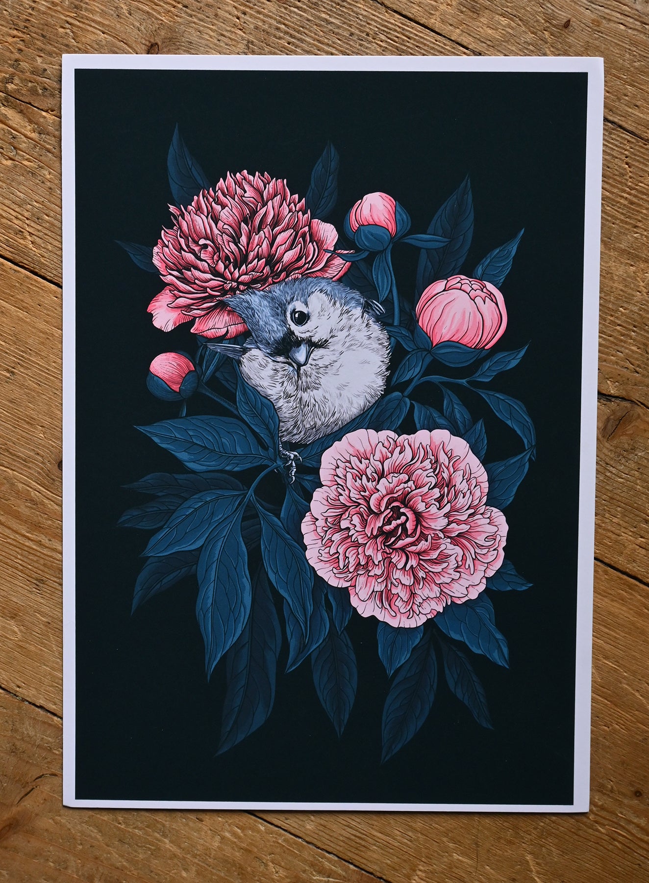 print of a titmouse bird on pink peony flowers with blue leaves on a black background