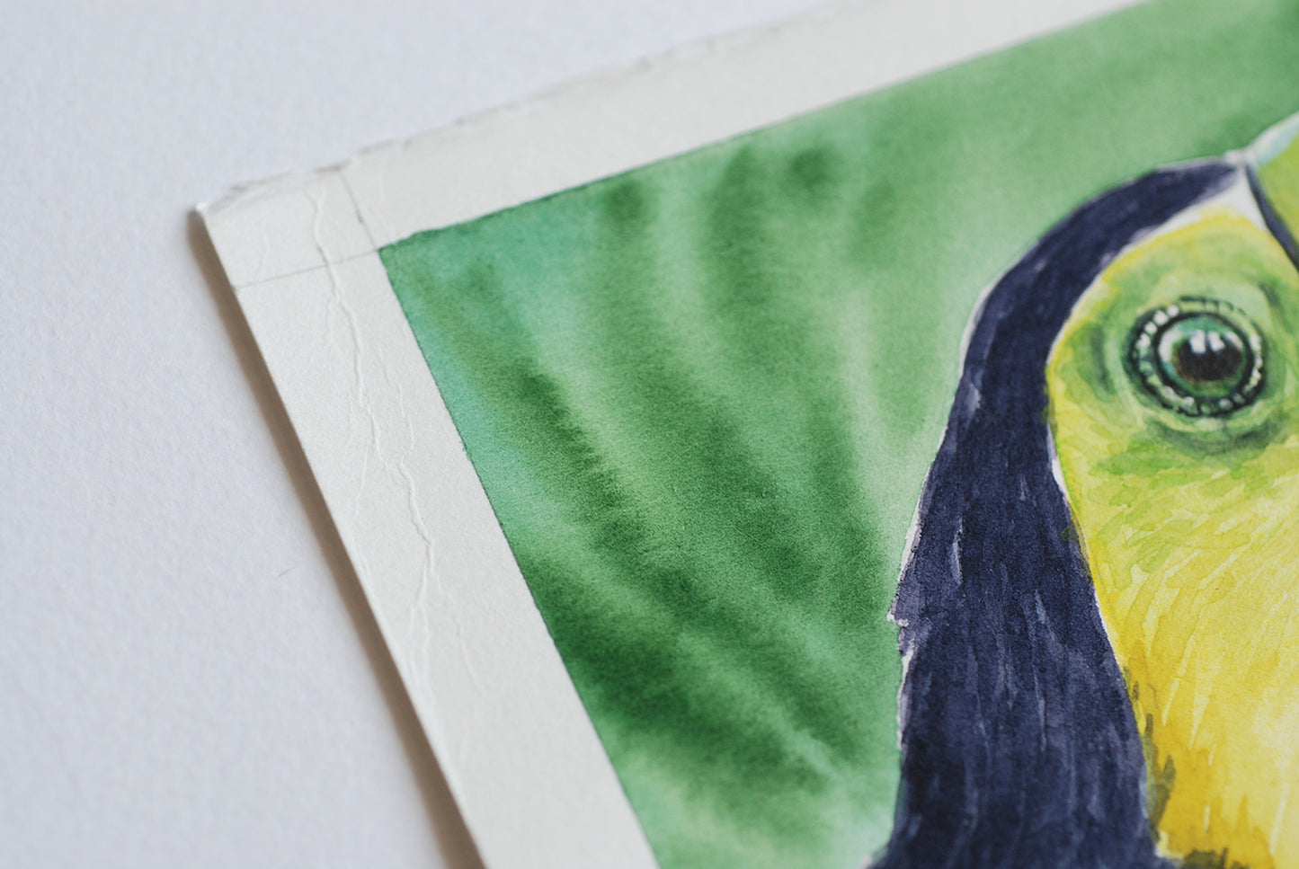 Close-up of a watercolor painting of a toucan on a white background