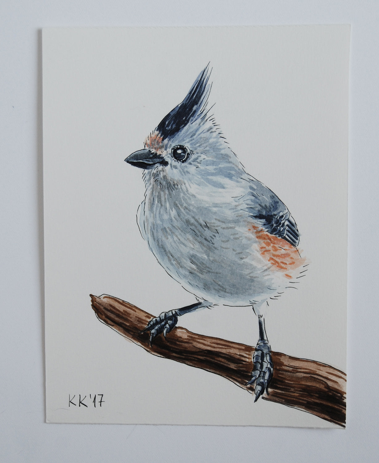 Titmouse on a branch watercolor painting