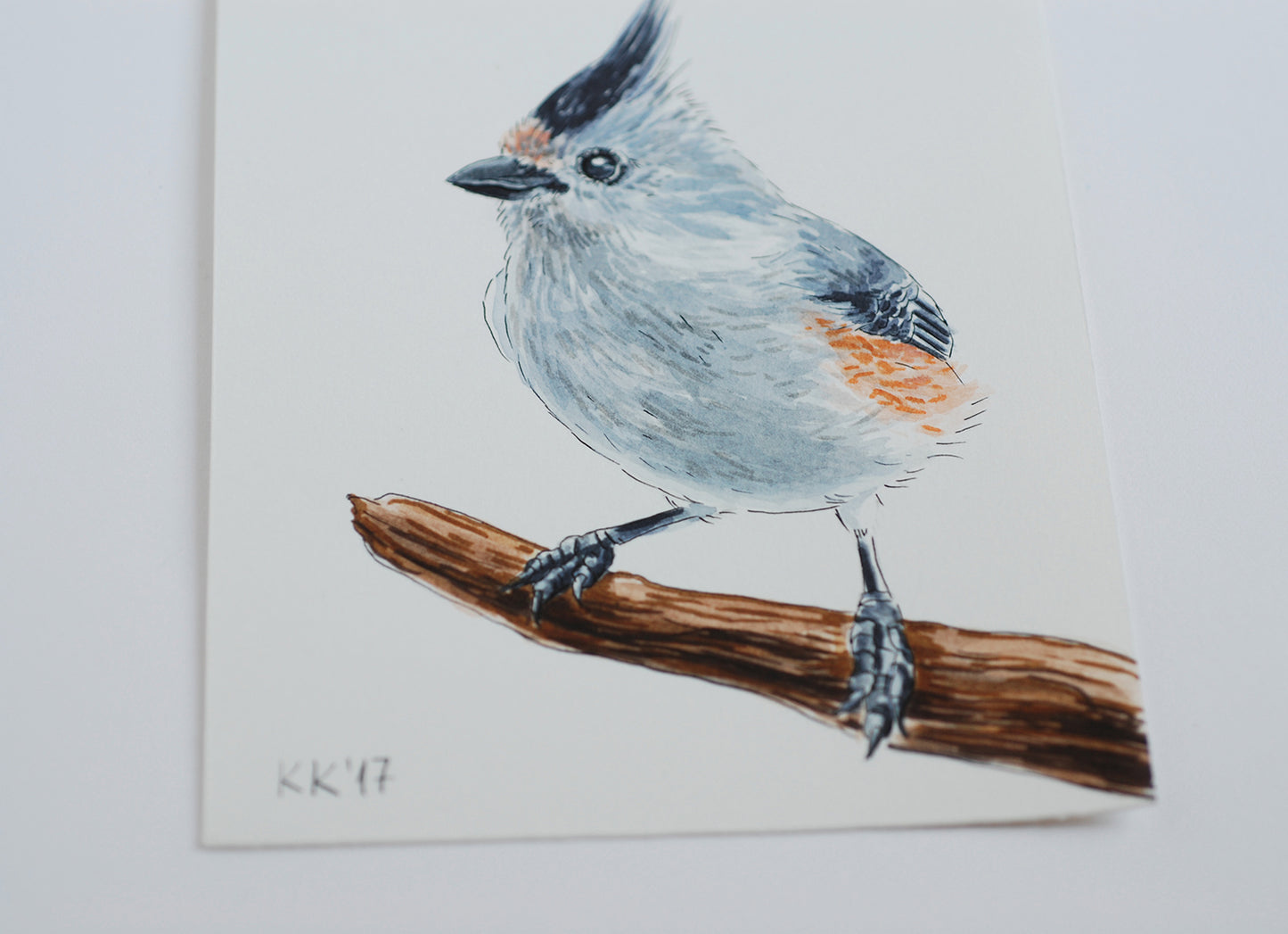 Titmouse on a branch watercolor painting