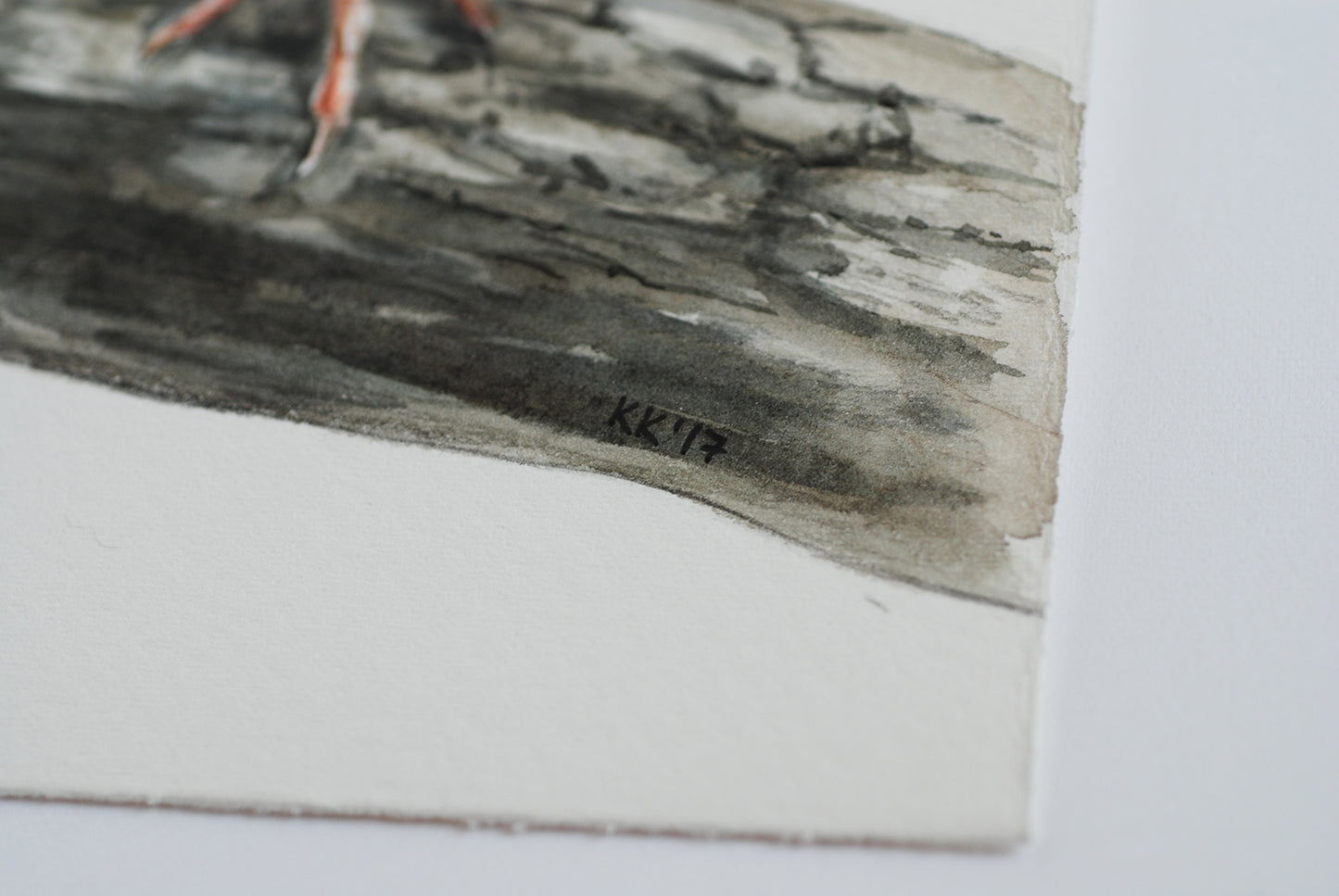 Close-up of a corner of a watercolor painting with a signature on a white background