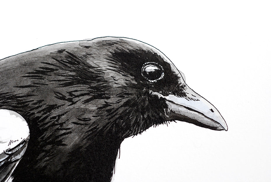 Black and white illustration of a bird's head on a white background