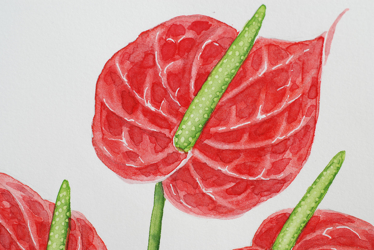 flamingo flowers watercolor painting detail