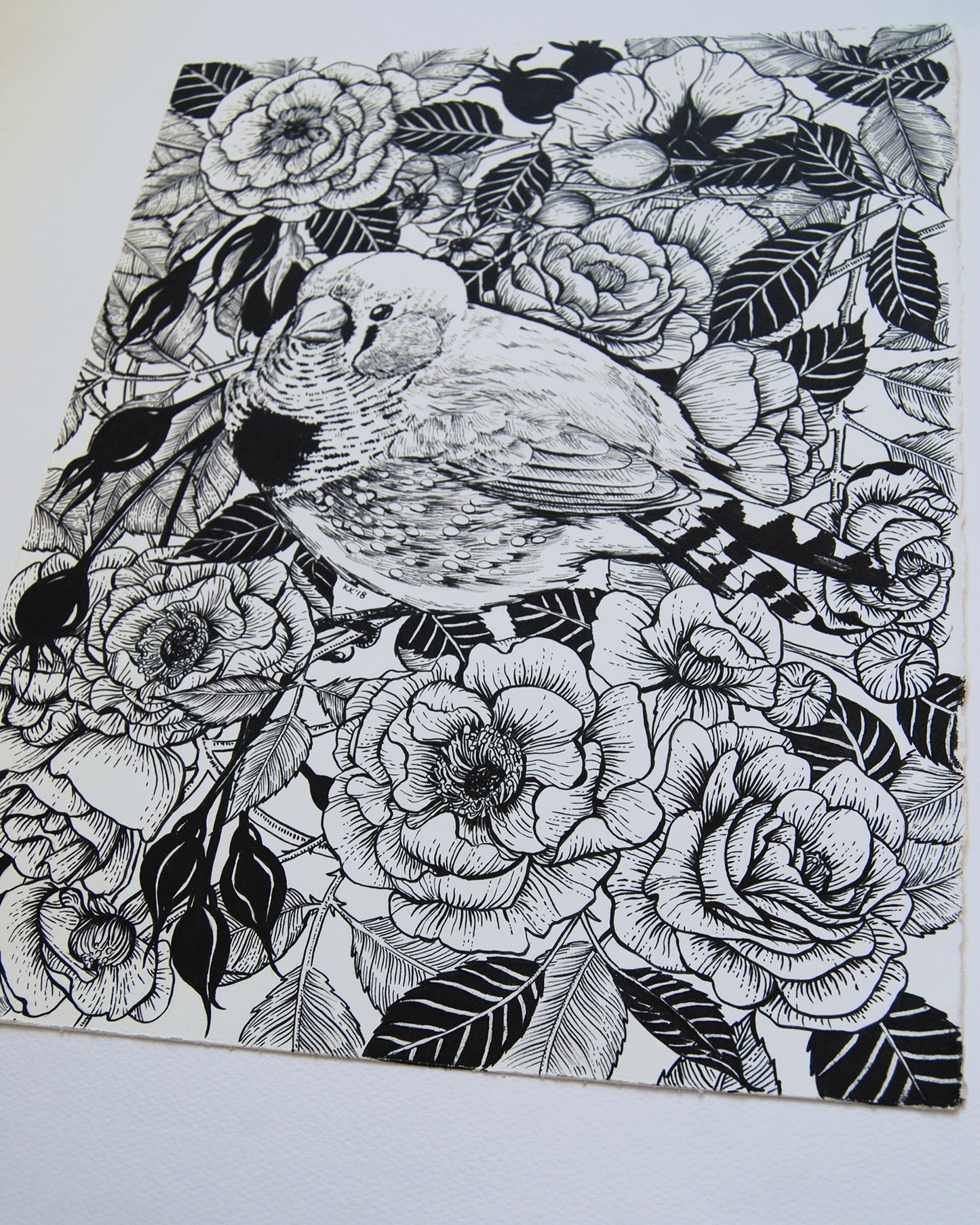Black and white illustration of a bird among flowers on a white background