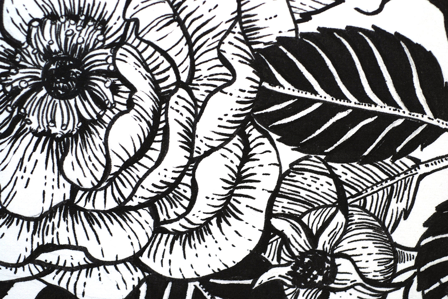 Black and white floral illustration with detailed leaves and petals.