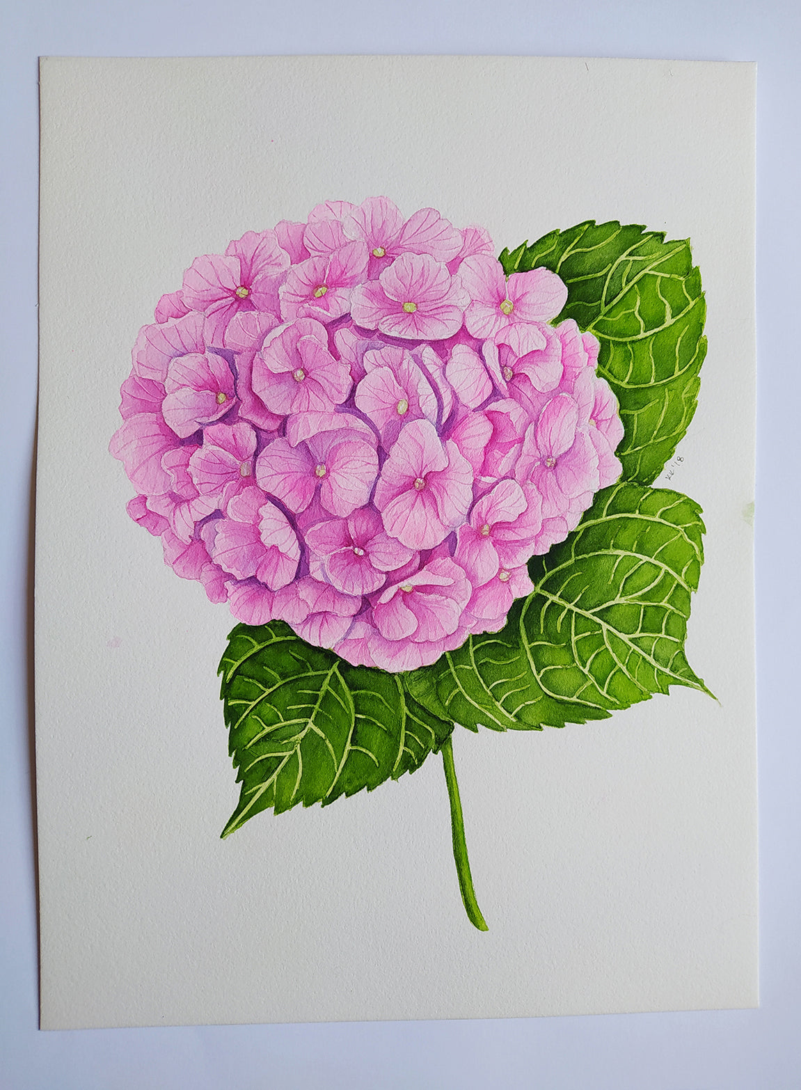 Illustration of a pink flower with green leaves on a beige background