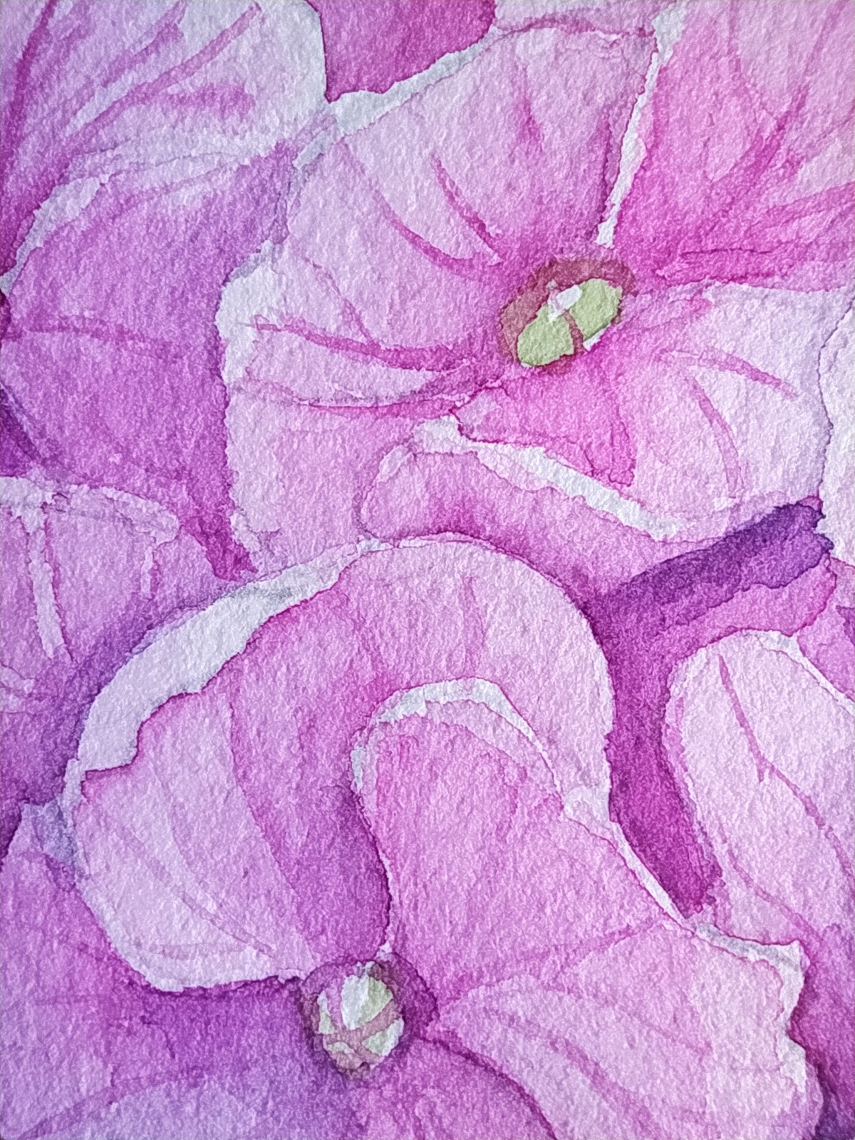 Close-up of pink flowers with a watercolor texture