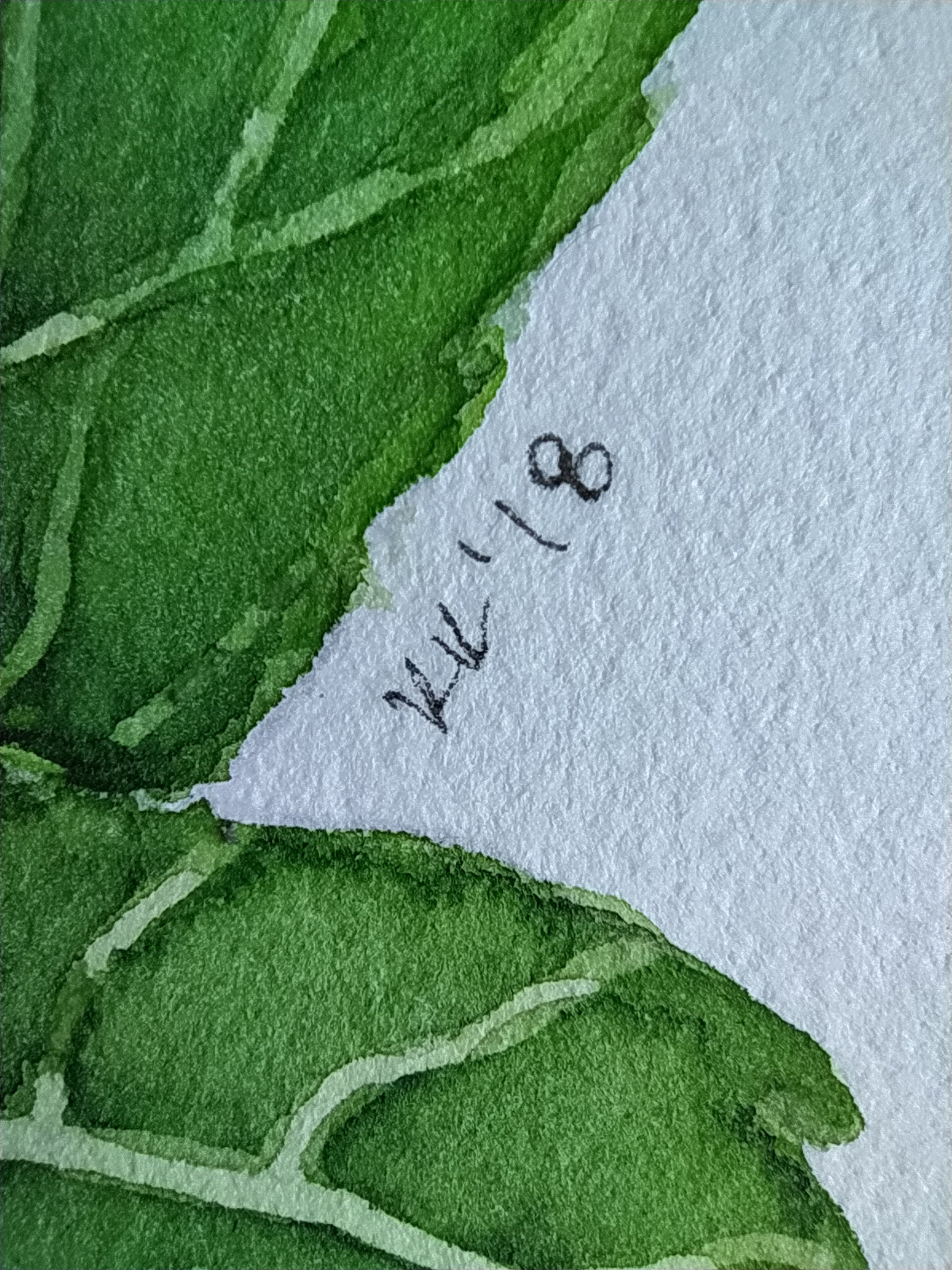 Close-up of green watercolor leaves with a signature on a textured white background
