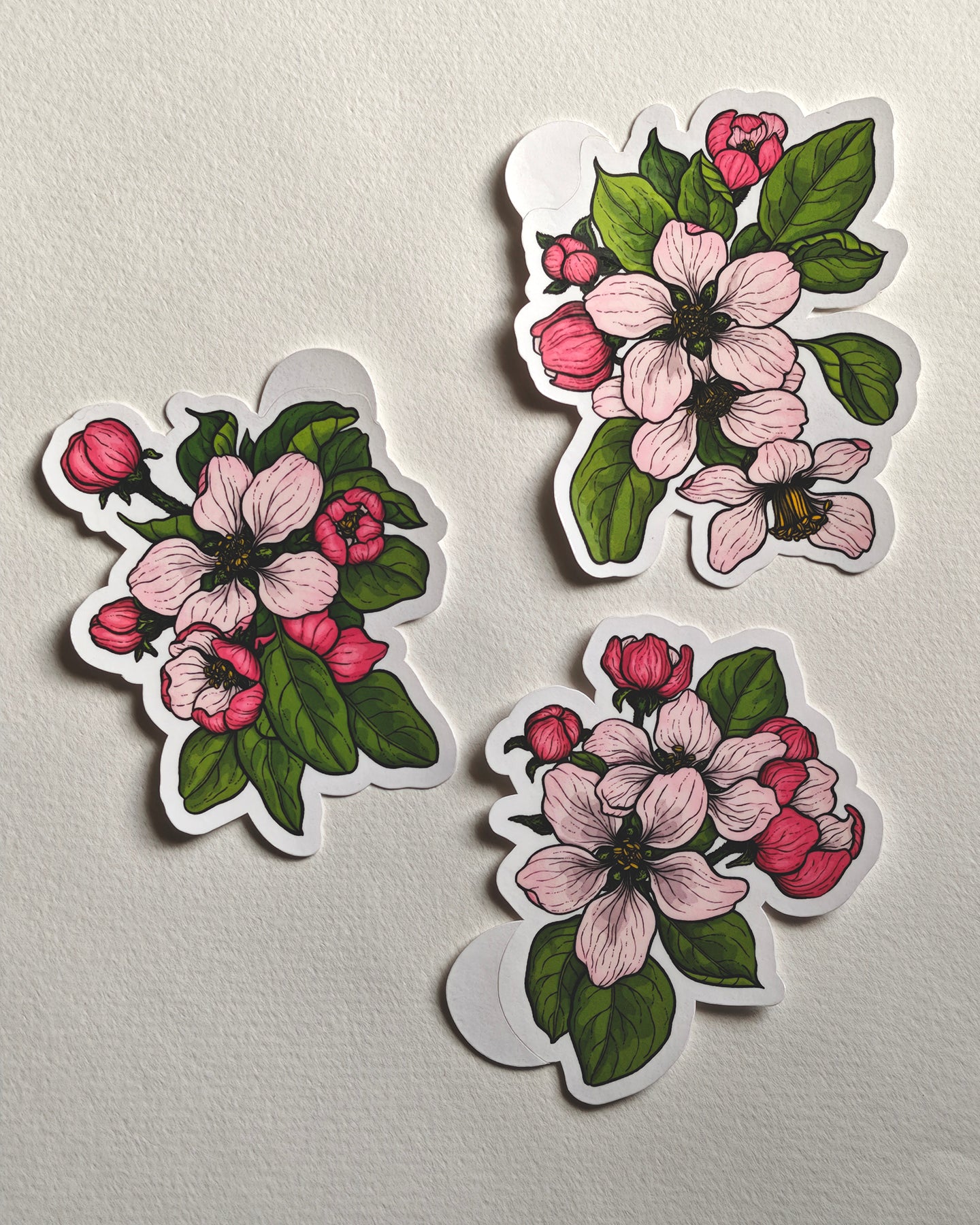 3 Stickers with apple blossoms and leaves in pink and green on a white background