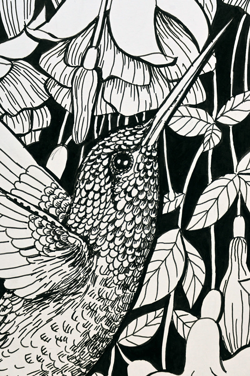 close up photo on ink painting of a hummingbird and fuchsia