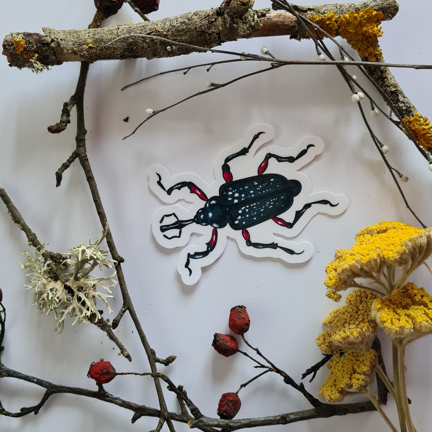 Beetles journal stickers