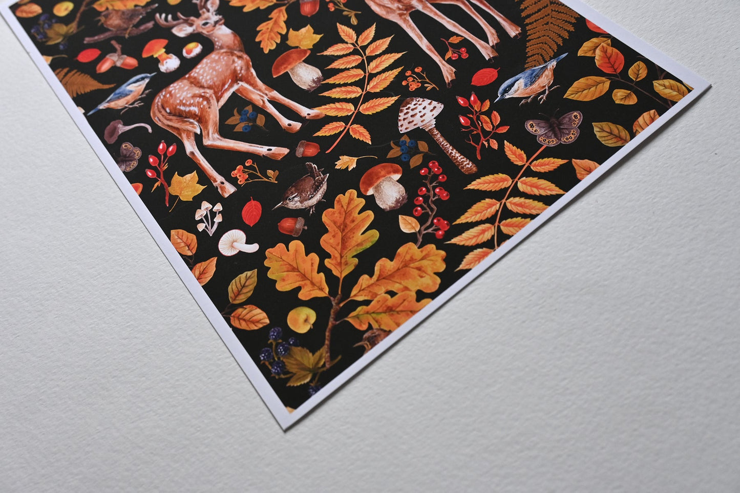 Deer and autumn flora print - katerinamitkova