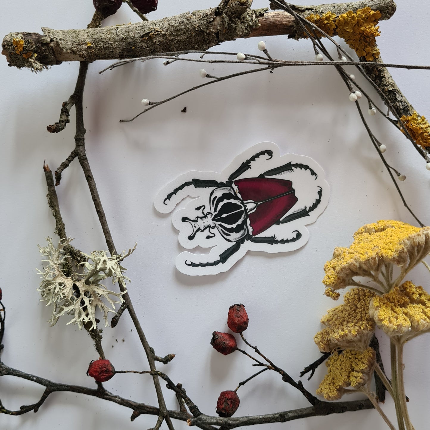 Beetles journal stickers