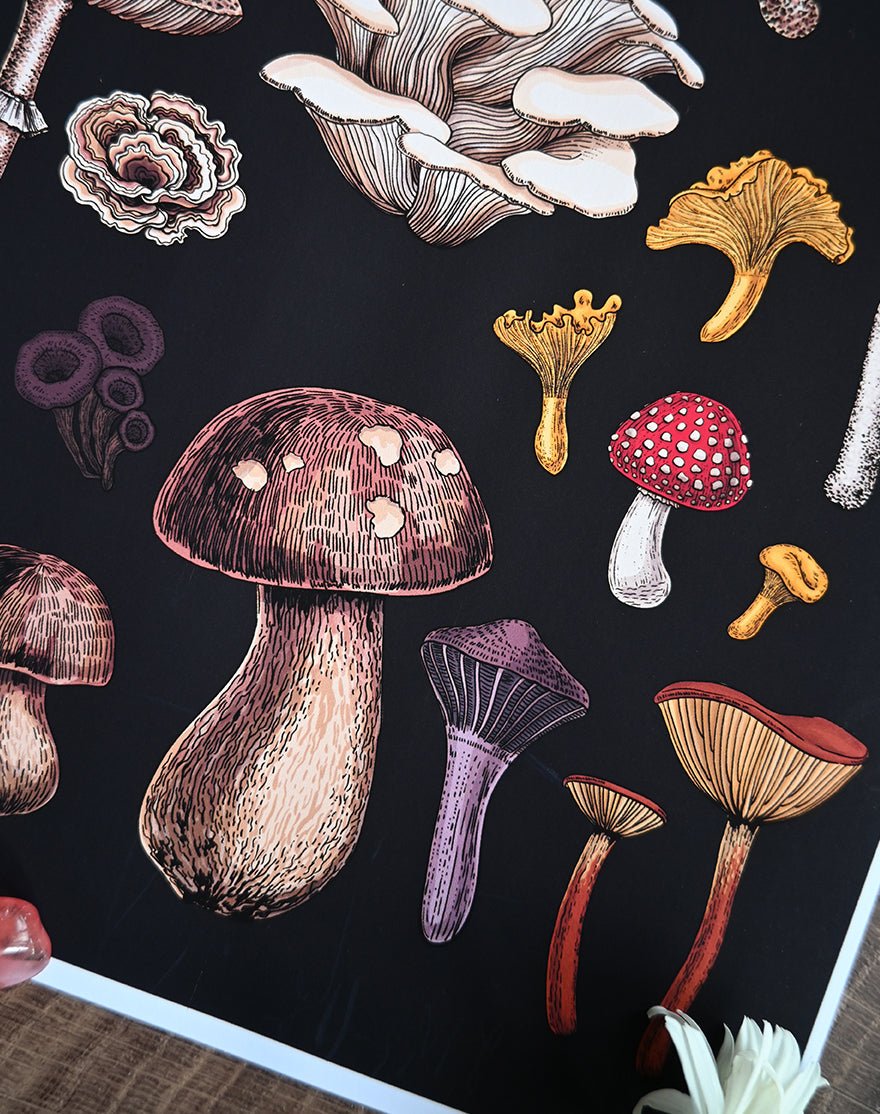 Mushrooms art print - katerinamitkova