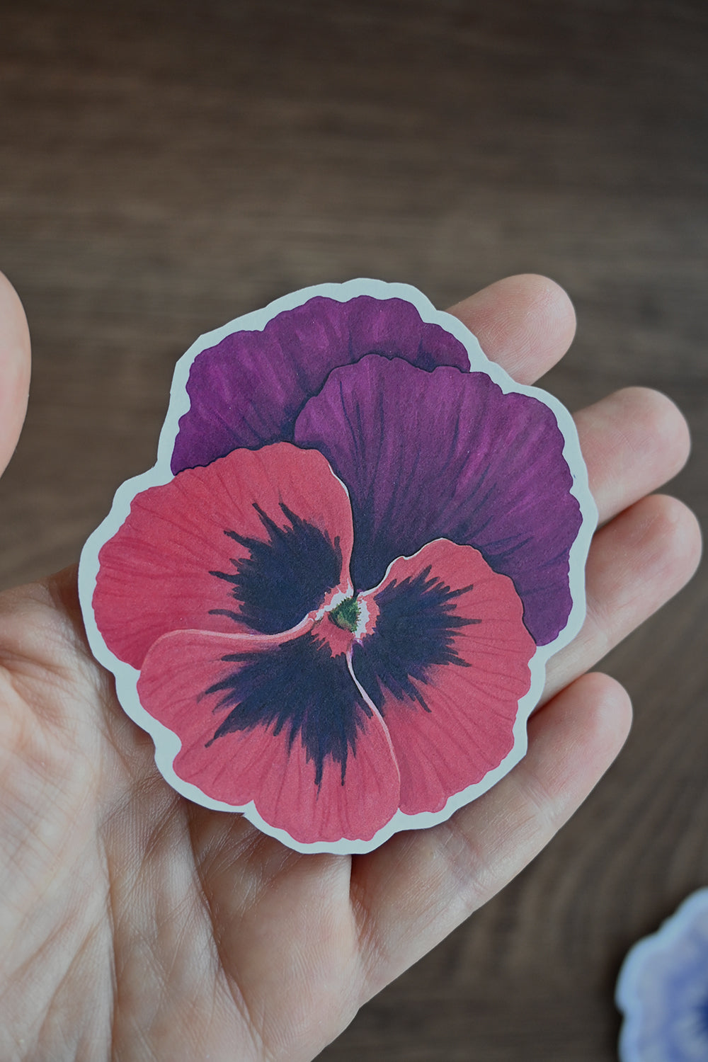 Hand holding a sticker of a red and purple pansy flower on a wooden surface