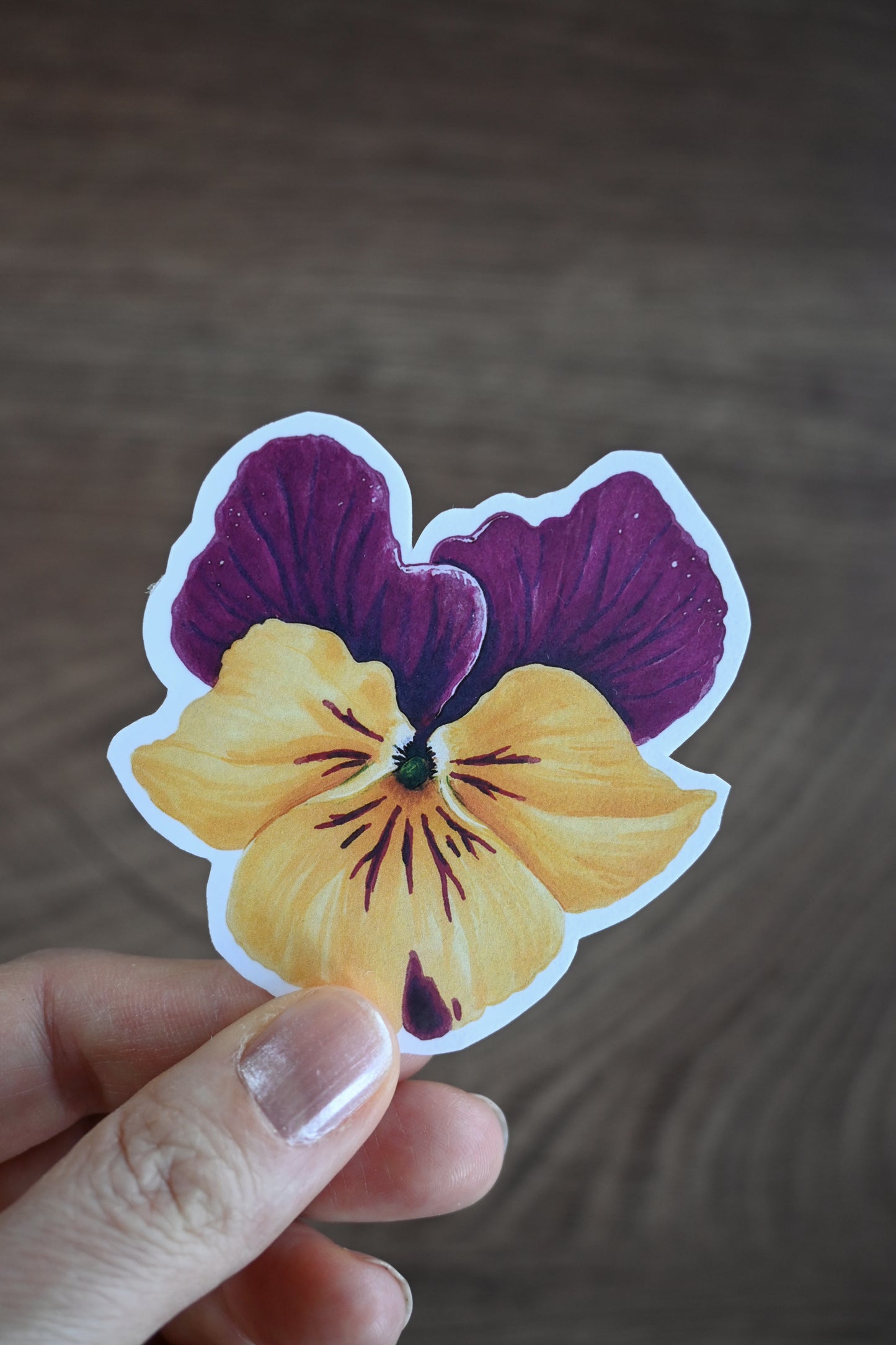 Hand holding a sticker of a purple and yellow pansy sticker against a brown background