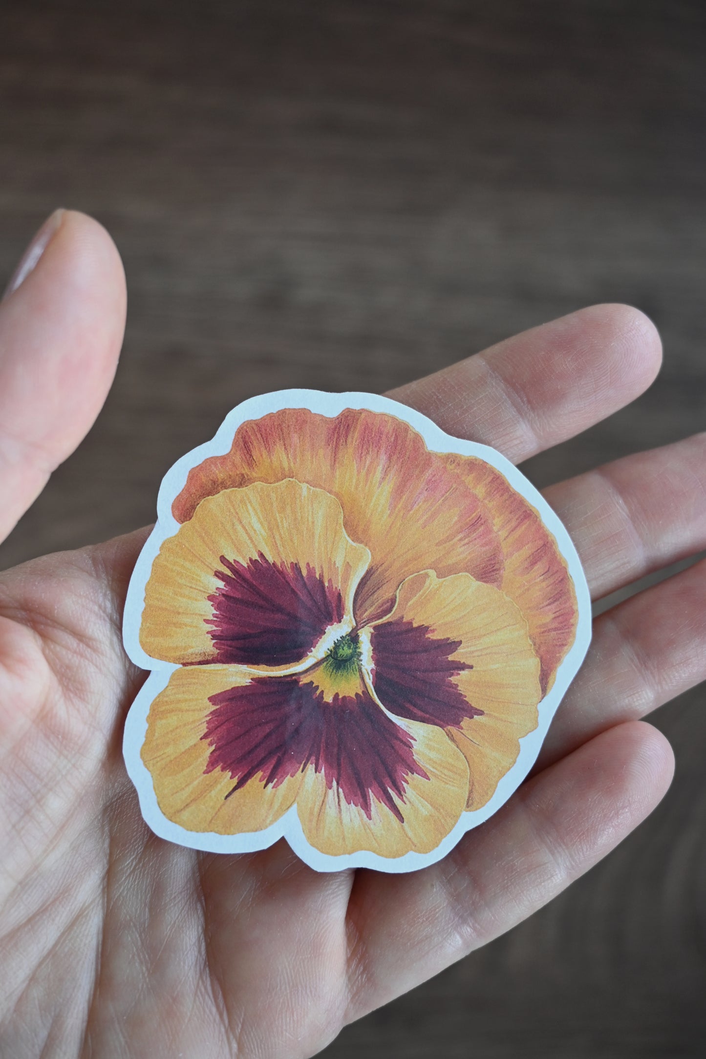 Hand holding an orange and purple pansy sticker against a blurred background