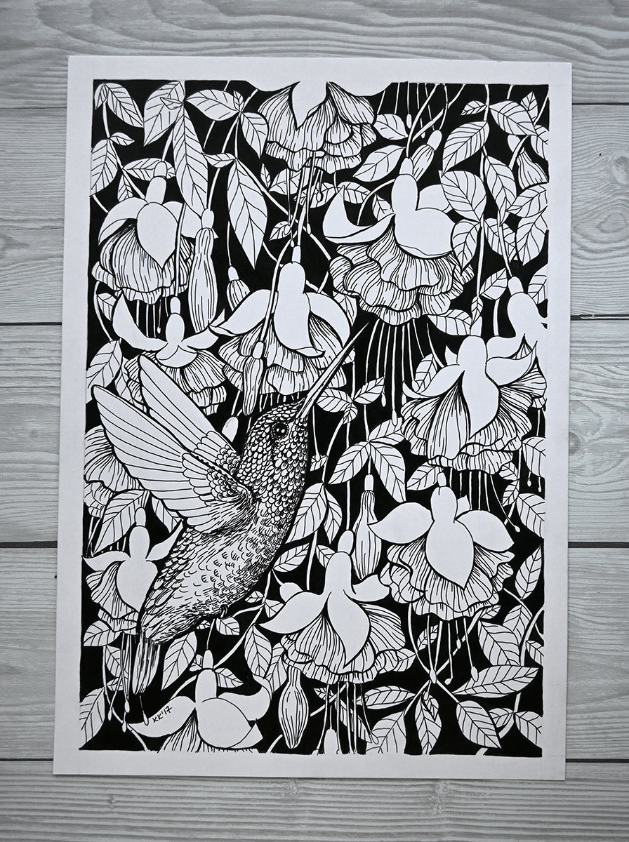 photo of an ink painting of a hummingbird and fuchsia flowers