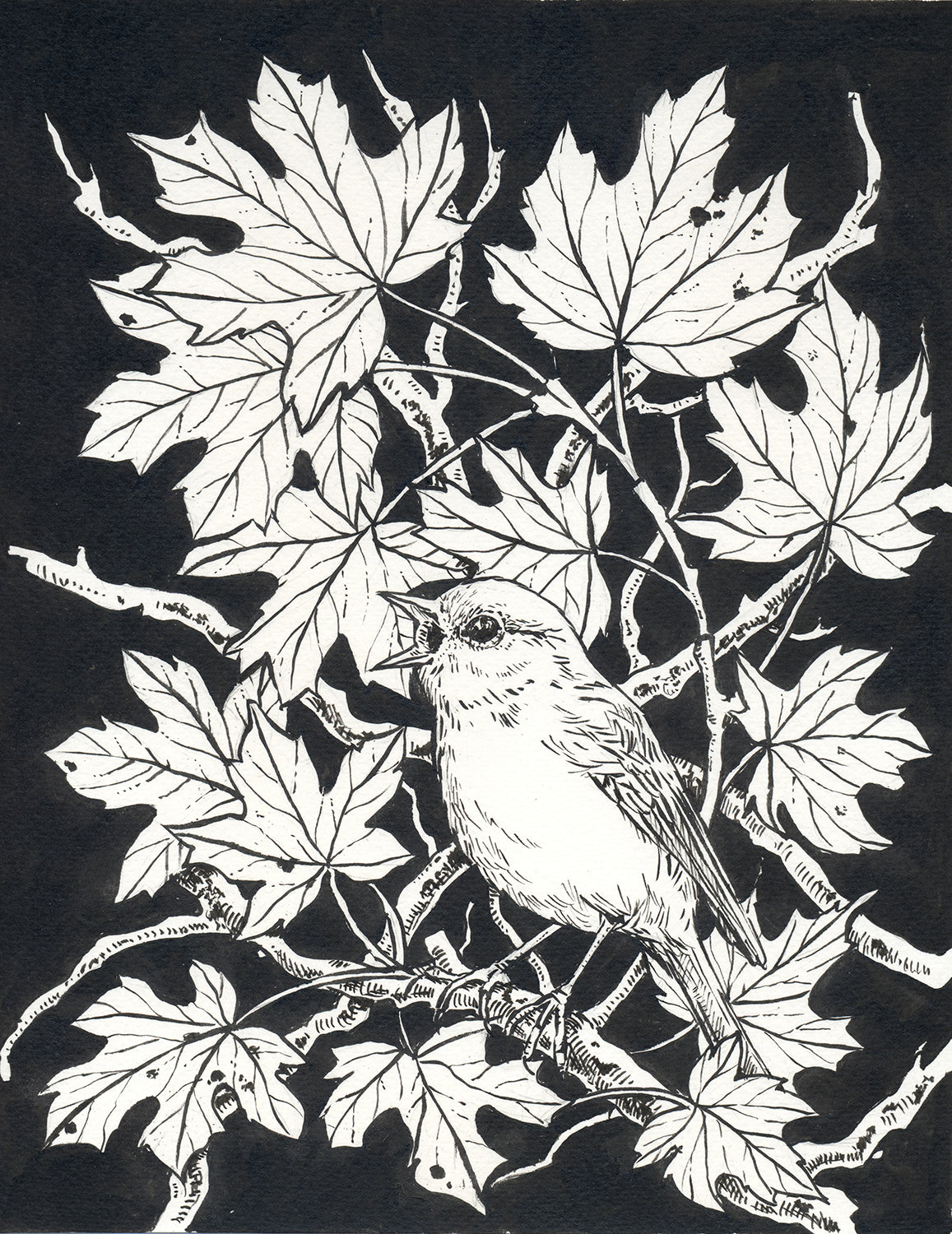 Black and white illustration of a bird perched on a branch with leaves against a black background