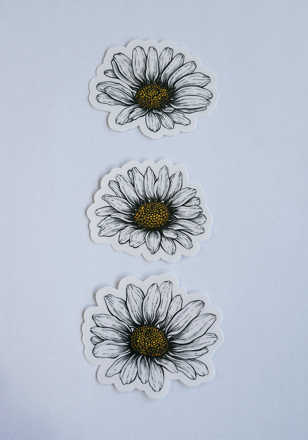Three daisy flower stickers on a light blue background