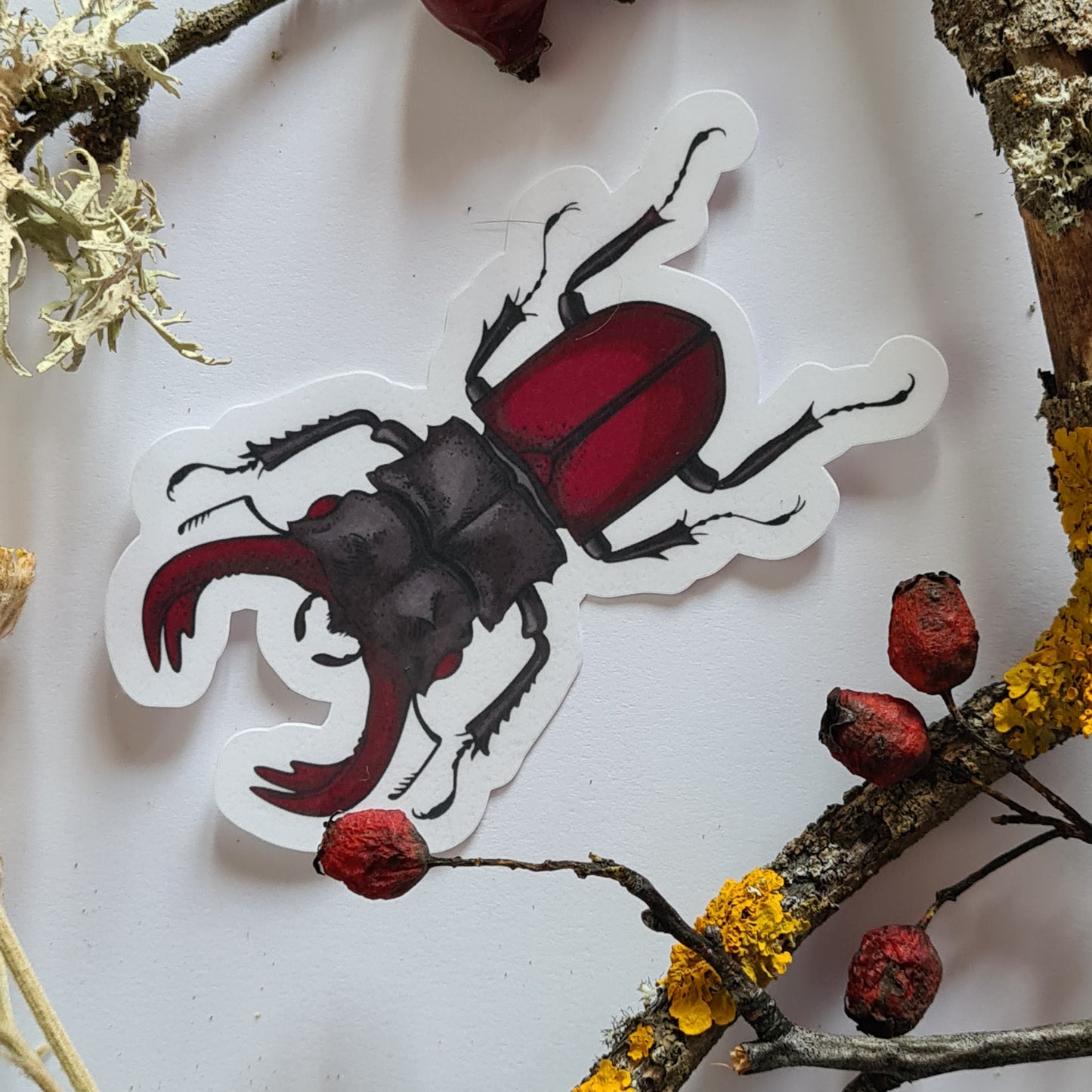 Beetles journal stickers
